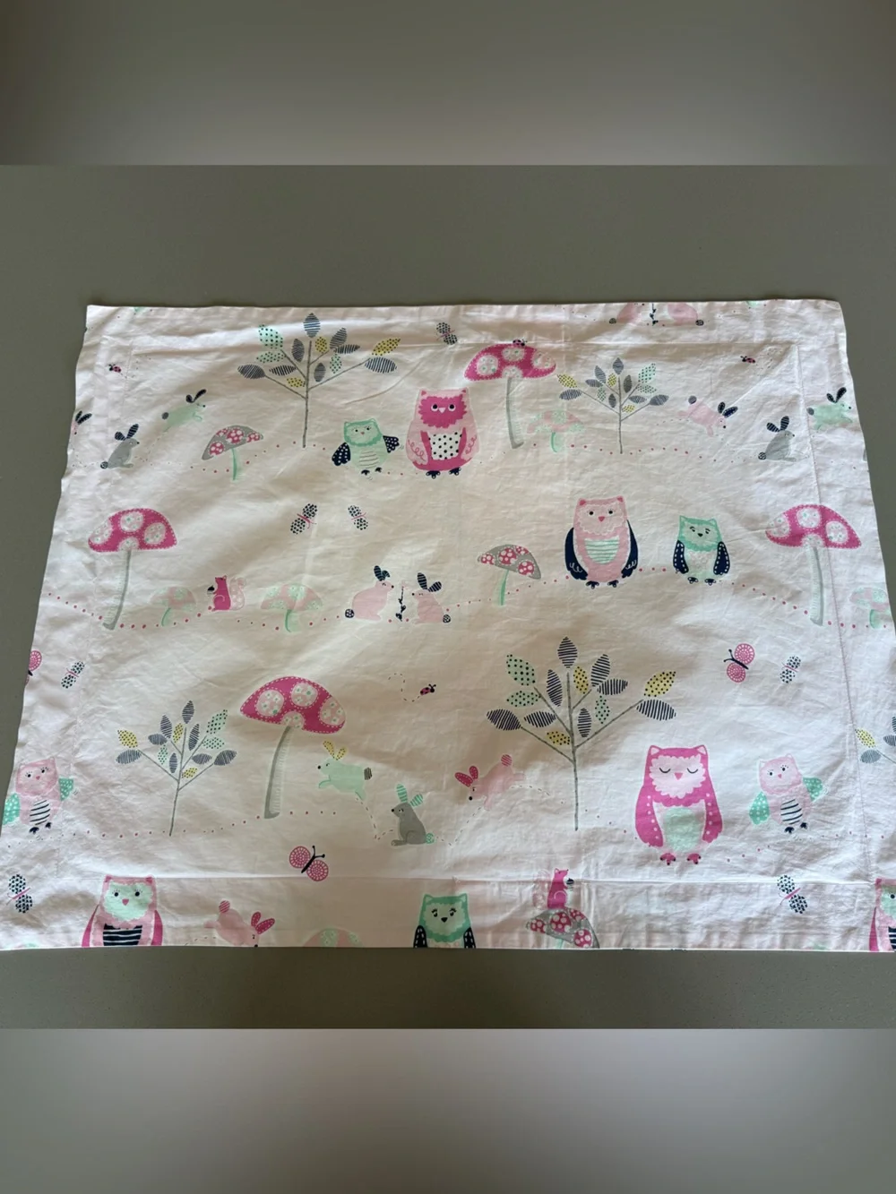 Pottery Barn Kids Pink Whimsical Standard Sham